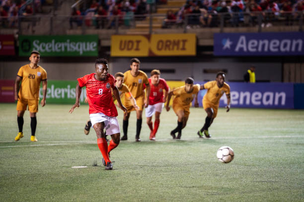 这一成功的 这一成功的