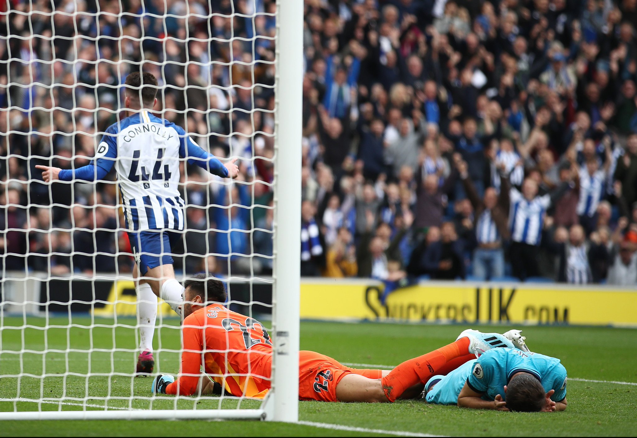 也为体育精 也为体育精